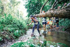 BIB: 
                            <button type="button" onclick="openModal(25474989)" class="btn btn-primary btn-sm float-right btn-popup" data-toggle="modal" data-target=".modal-high-quality">
                        <i class="fas fa-shopping-cart"></i> Add to Cart
                    </button>
                                            <button type="button" onclick="isThisMe(25474989, true)" class="btn btn-success btn-sm float-right btn-popup btn-isme hidden" data-toggle="tooltip" data-placement="bottom" title="นี่คือรูปของคุณใช่ไหม คลิกที่นี่เพื่อเอาเข้าอัลบั้ม">
                        <i class="fas fa-plus"></i> Add to album
                    </button>
                    <button type="button" onclick="isThisMe(25474989, false)" class="btn btn-warning btn-sm float-right btn-popup btn-isnotme hidden">
                        <i class="fas fa-ban"></i> Remove from album
                    </button>